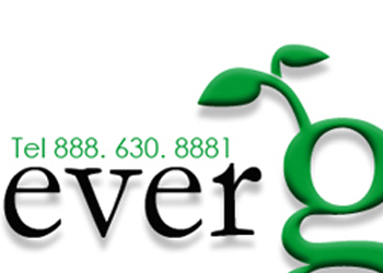 Ever Greed Logo By Web Designer Dave Levy