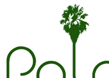 Palma Commercial Logo By Web Designer Dave Levy